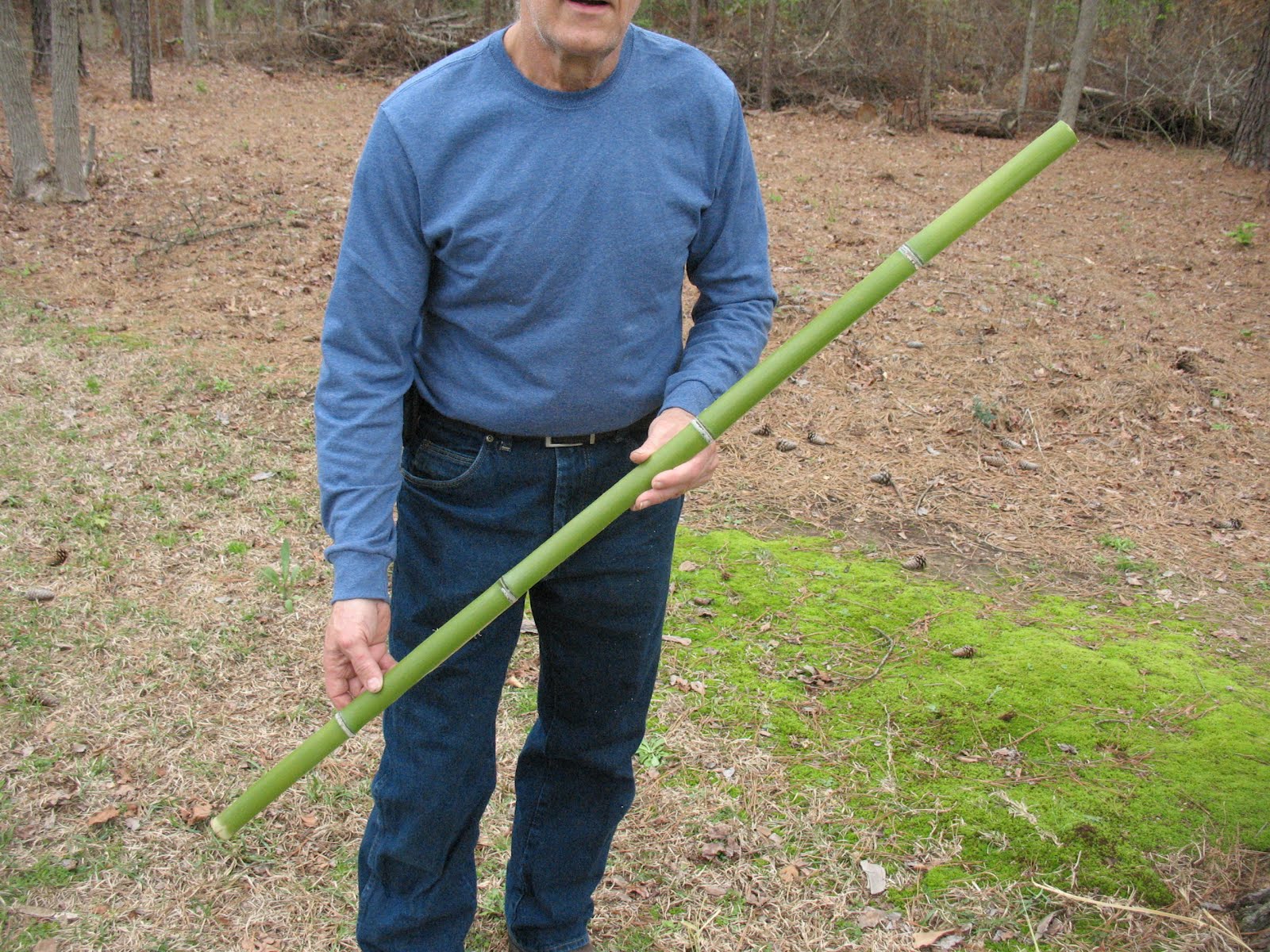 Sensible Survival Build a Bamboo Survival Bow in 30 Minutes