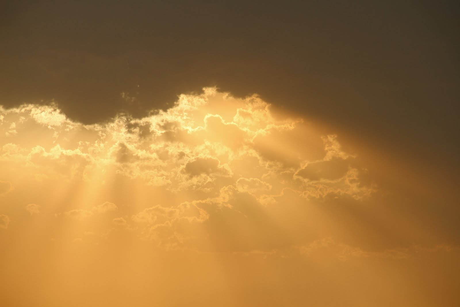 Picture the Word Ray of Hope