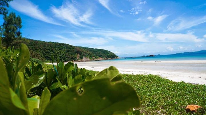 Hình ảnh có liên quan