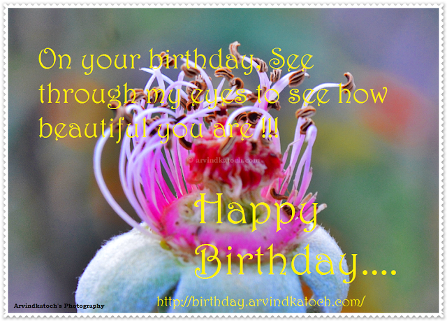 Happy Birthday Cards on Eyes birthday, card, beautiful, eyes, Happy Birthday,