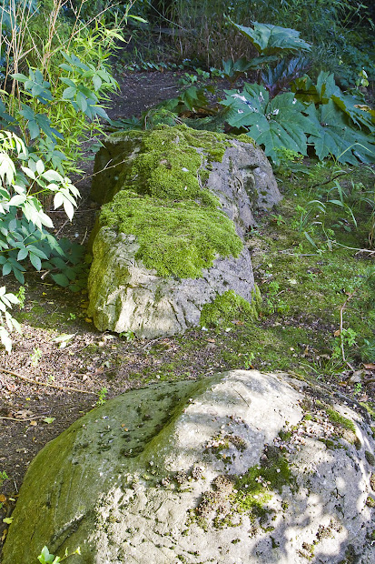 japanese garden bamboo