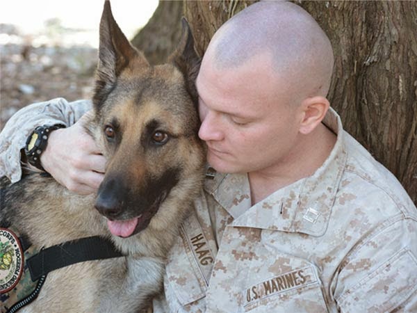 Ptsd Therapy Dog Training Ptsd Therapy Dog Training