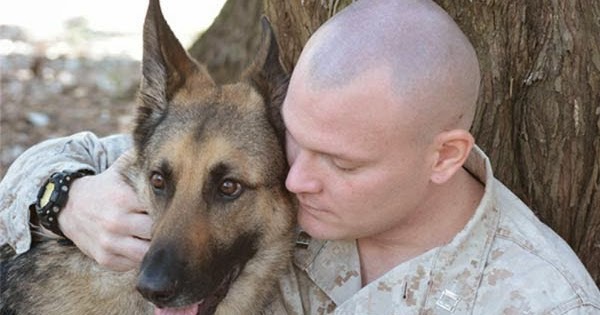 Ptsd Service Dog Training Las Vegas Ptsd Service Dog Training Las Vegas