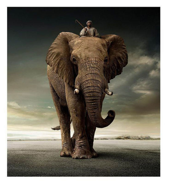 Beautiful Animals Safaris: Safari Amazing ! Beautiful Animal Safari Beautiful Animals Safaris: Safari Amazing ! Beautiful Animal Safari