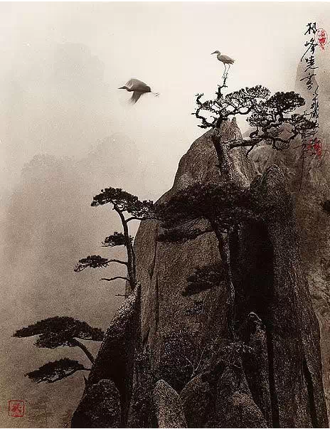 這到底是攝影還是國畫?! - 亮麗 - 亮麗的博客 這到底是攝影還是國畫?! - 亮麗 - 亮麗的博客