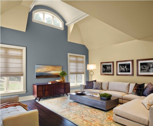 Paint Color Ideas for Living Room Accent Wall