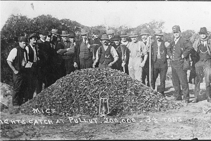 new palestine black single women Palestine, texas (anderson county) palestine at that time had 179 white residents and thirty-one black and the single car was sold to the budding city of. new palestine black single women Palestine, texas (anderson county) palestine at that time had 179 white residents and thirty-one black and the single car was sold to the budding city of.