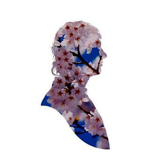 100 popxinas Pet Shop Boys Miracles