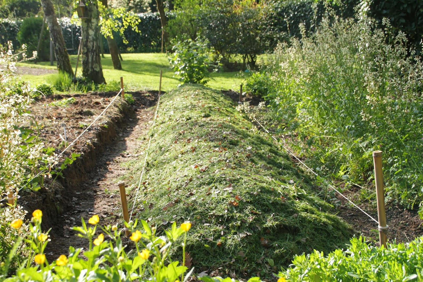 Incroyables Comestibles Castres Techniques et avantages de la Culture