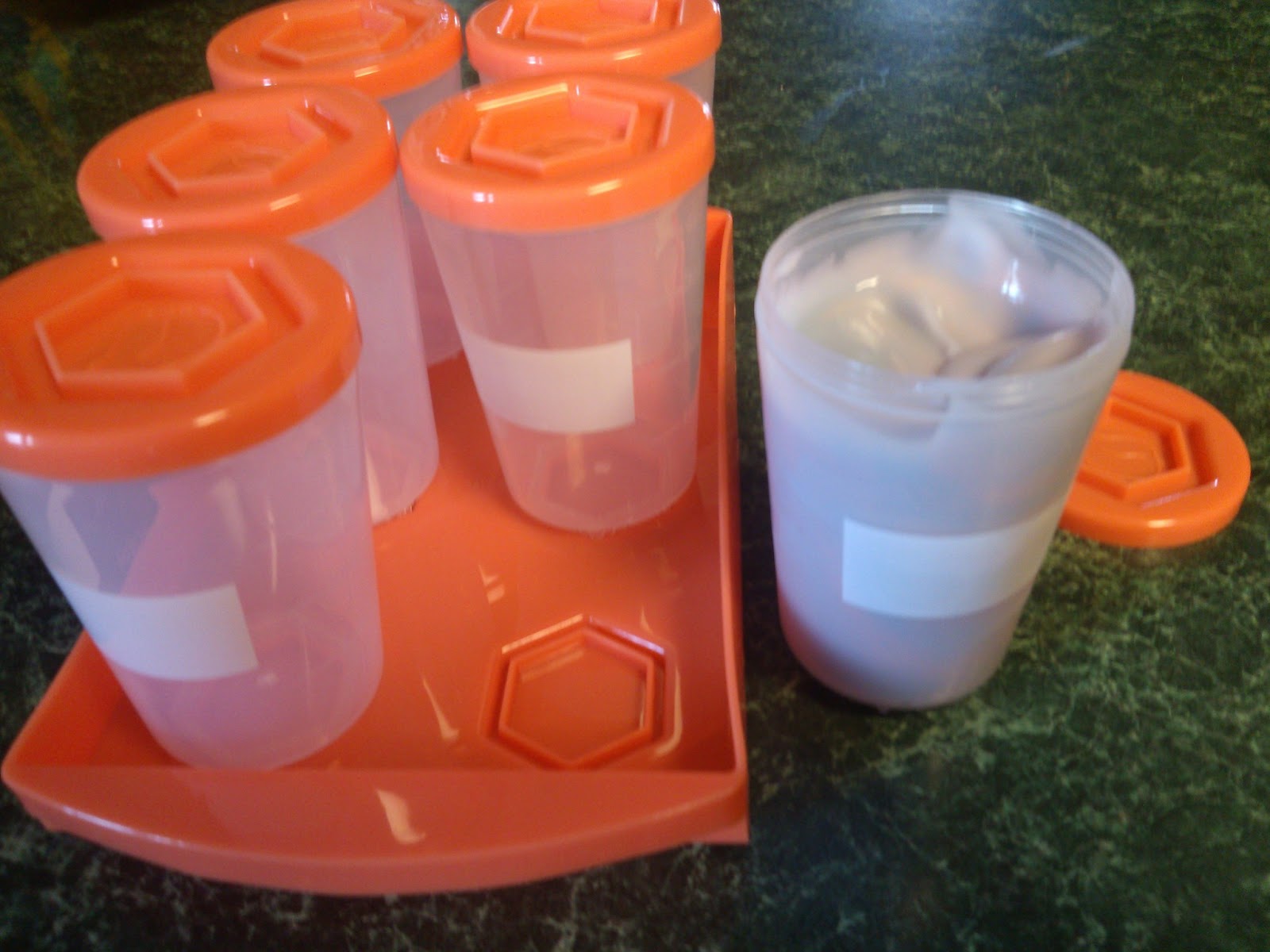 A Lucky Ladybug Sprout Cups Baby Food Storage System Review