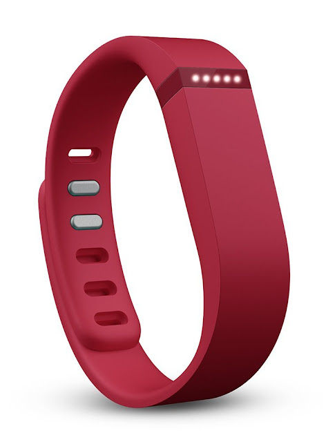 Fitbit Flex Fitbit Flex