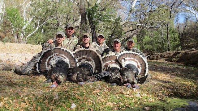 Gould's+Turkey+Hunt+with+Colburn+and+Scott+Outfitters+8.JPG