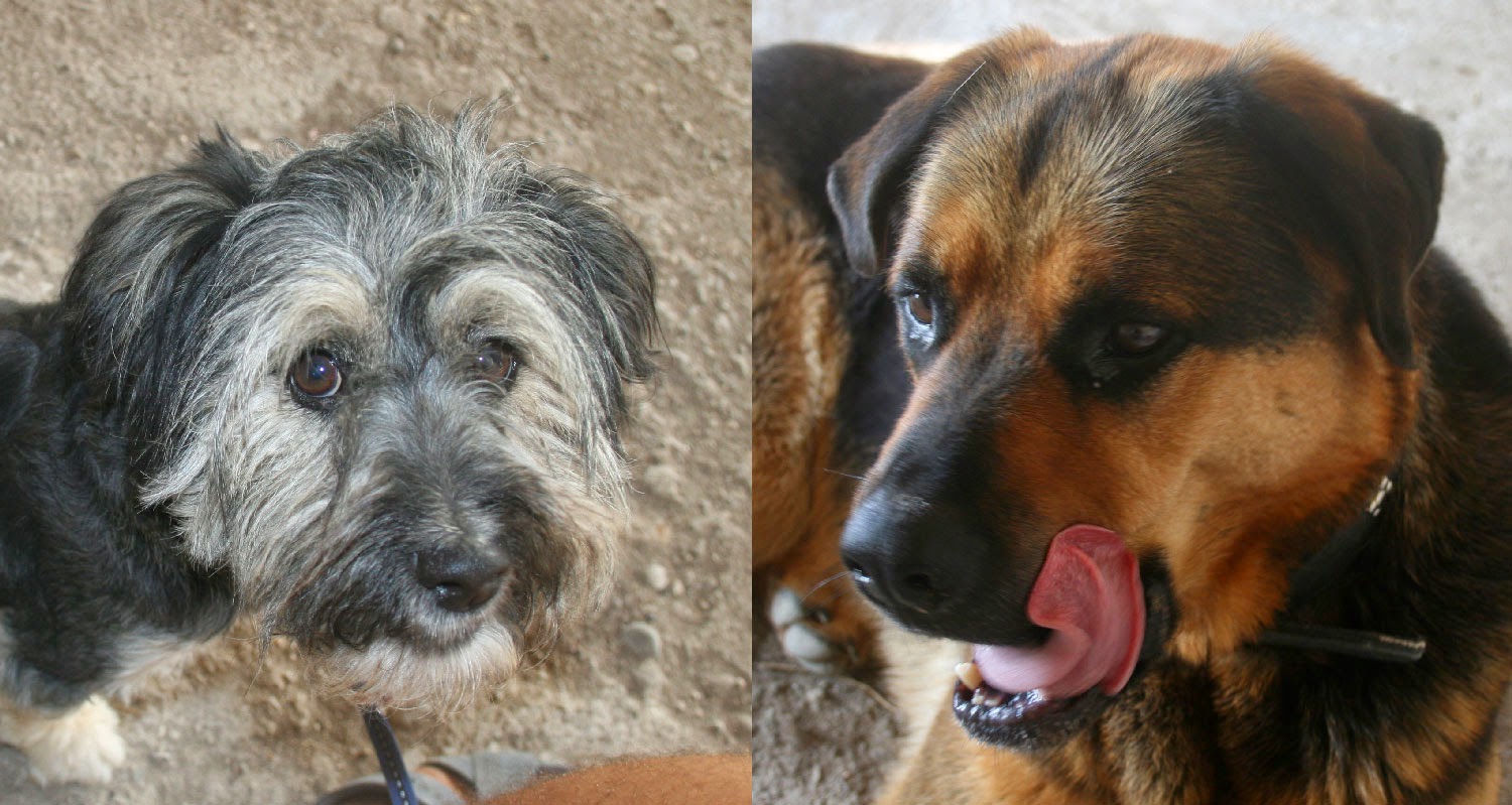 Post breakfast faces Post breakfast faces