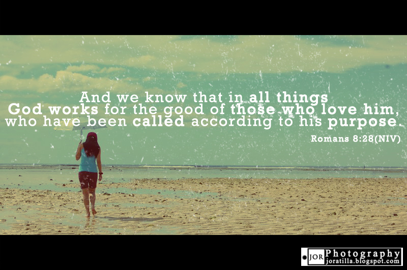 Bible Quotes From Romans