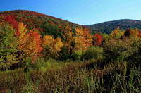 Autumn Mountain Scenes Images1