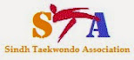 STA Logo