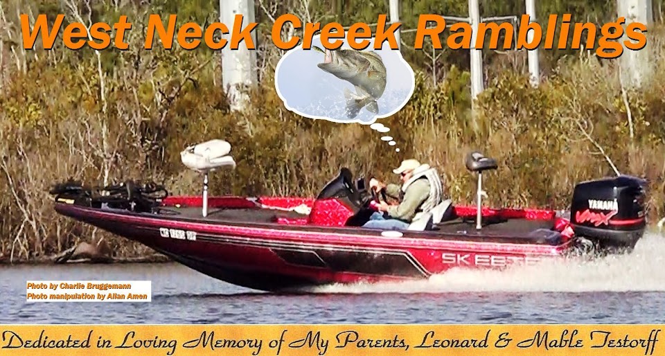 West Neck Creek Ramblings