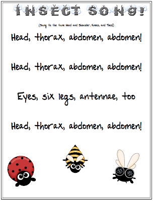 Little Miss Glamour Goes To Kindergarten: creepy crawlers.