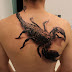3d scorpion tattoo on full back 