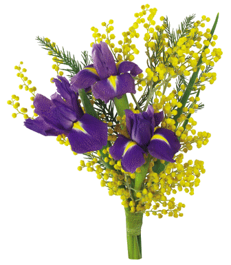 Коллекция картинок: Цветы клипарт PNG, GIF