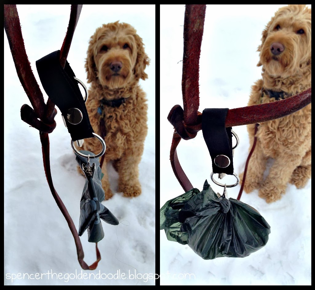 Spencer the Goldendoodle Product Review & Giveaway Poopy Carrier