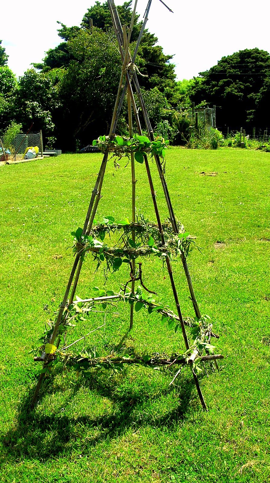 Bamboo Diy Climbing Frames