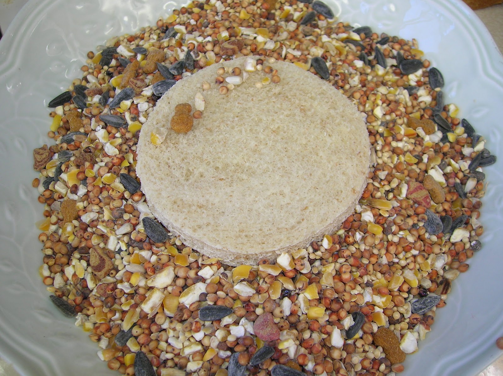 My Creative Mommy Bird Seed Treats