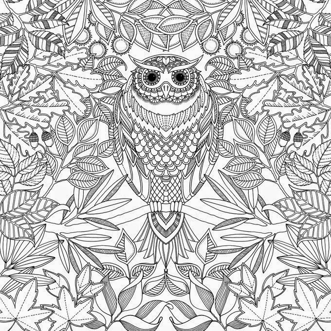 decoracao jardim secreto: colorir antiestresse para adultos: Jardim Secreto e Floresta Encantada decoracao jardim secreto: colorir antiestresse para adultos: Jardim Secreto e Floresta Encantada