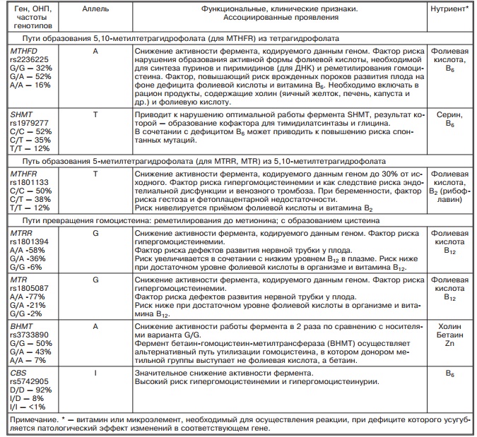 Диета При Высоком Гомоцистеине Во Время Беременности
