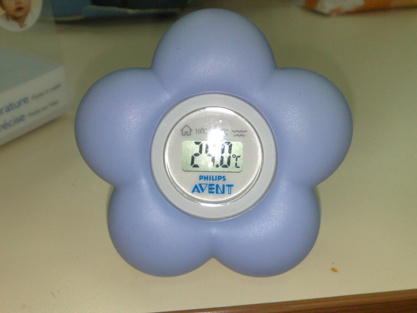 Honey Bunny Bo Bo0 Bo0o My Royal Mail Arrived Finally