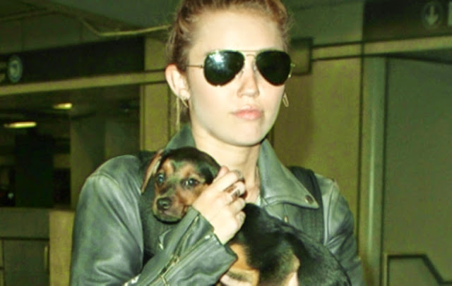 Miley cyrus dog passed away