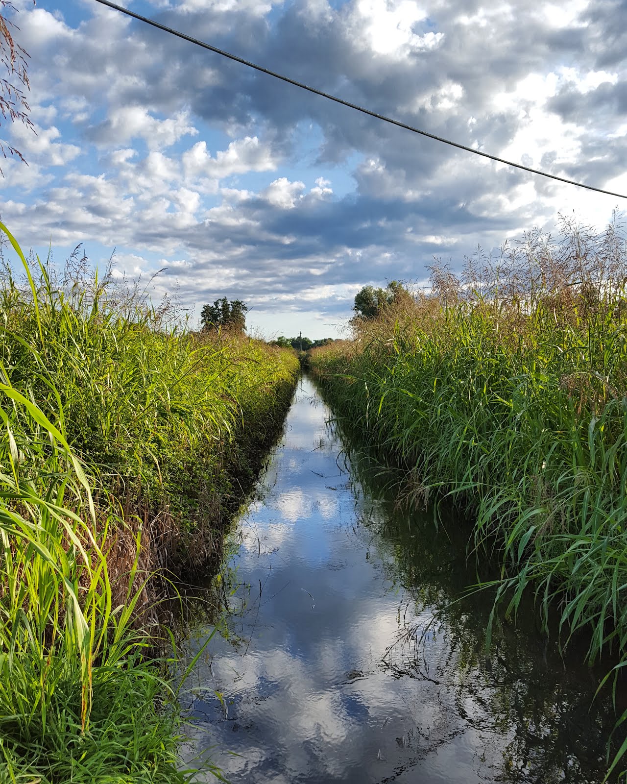 Acqua - Cielo - Terra