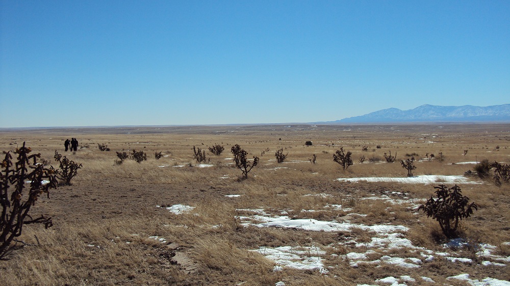 DARKNESS IN THE DESERT... Roswell From Schiff To Mogul