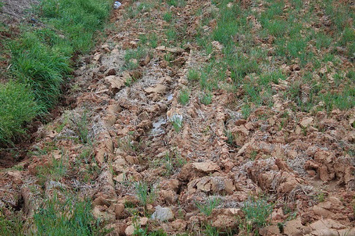 cari barang tersembunyi