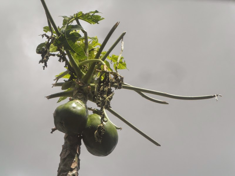 Nature Is Our Teacher 11 Nature Is Our Teacher