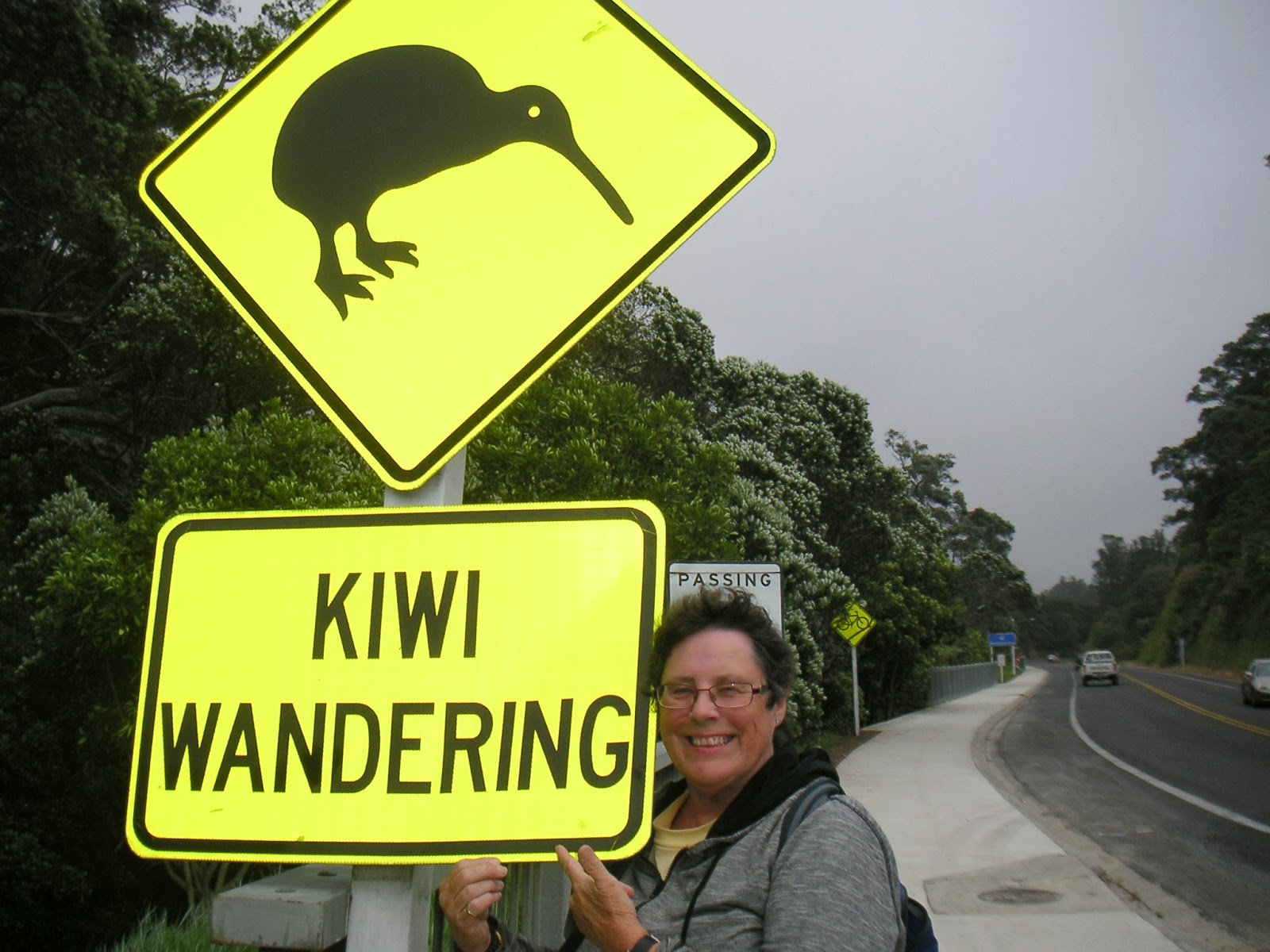 Bliss and the Retiree: Christmas in Whakatane and Te Puke