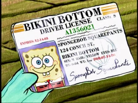 SpongeBob SquarePants Drivers License Novelty Boating Gary 