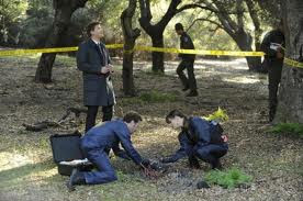 Watch Bones Season 6 Episode 18 -  The Truth in the Myth