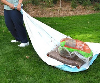 Trucos para jardineria Trucos para jardineria