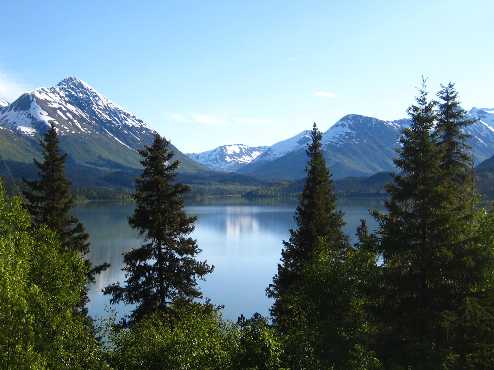 Alaska Morning Glory HikeSpruce Moose ChaletsSpruce Moose Alaska Cabins Vacation Rental Chalets