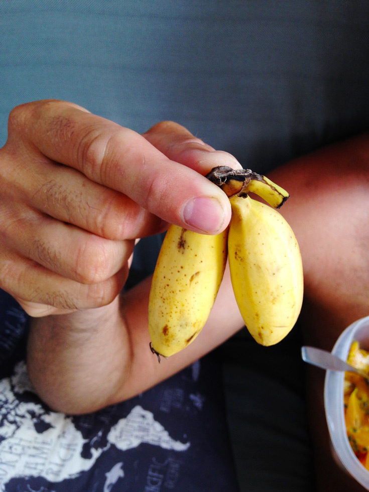 Not Quite Seasoned, but Very Well Salted Dominica