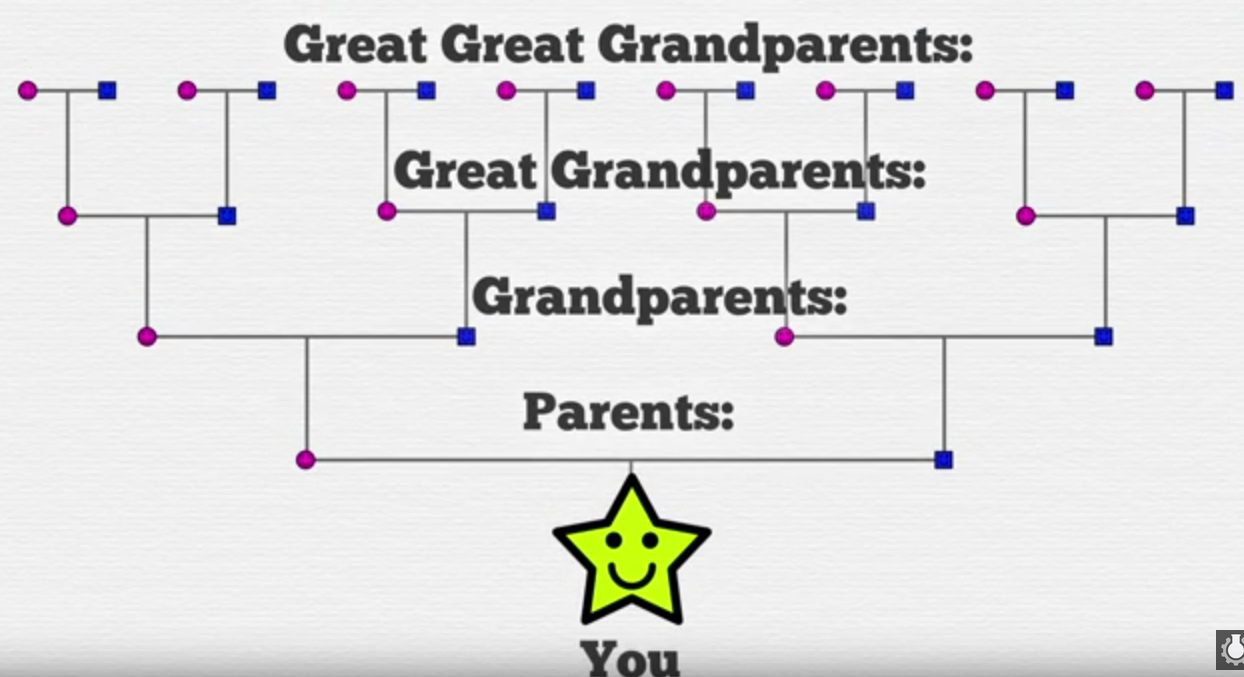 REFLECTIONS: Simplifying My Family Tree