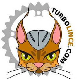 Turbolince
