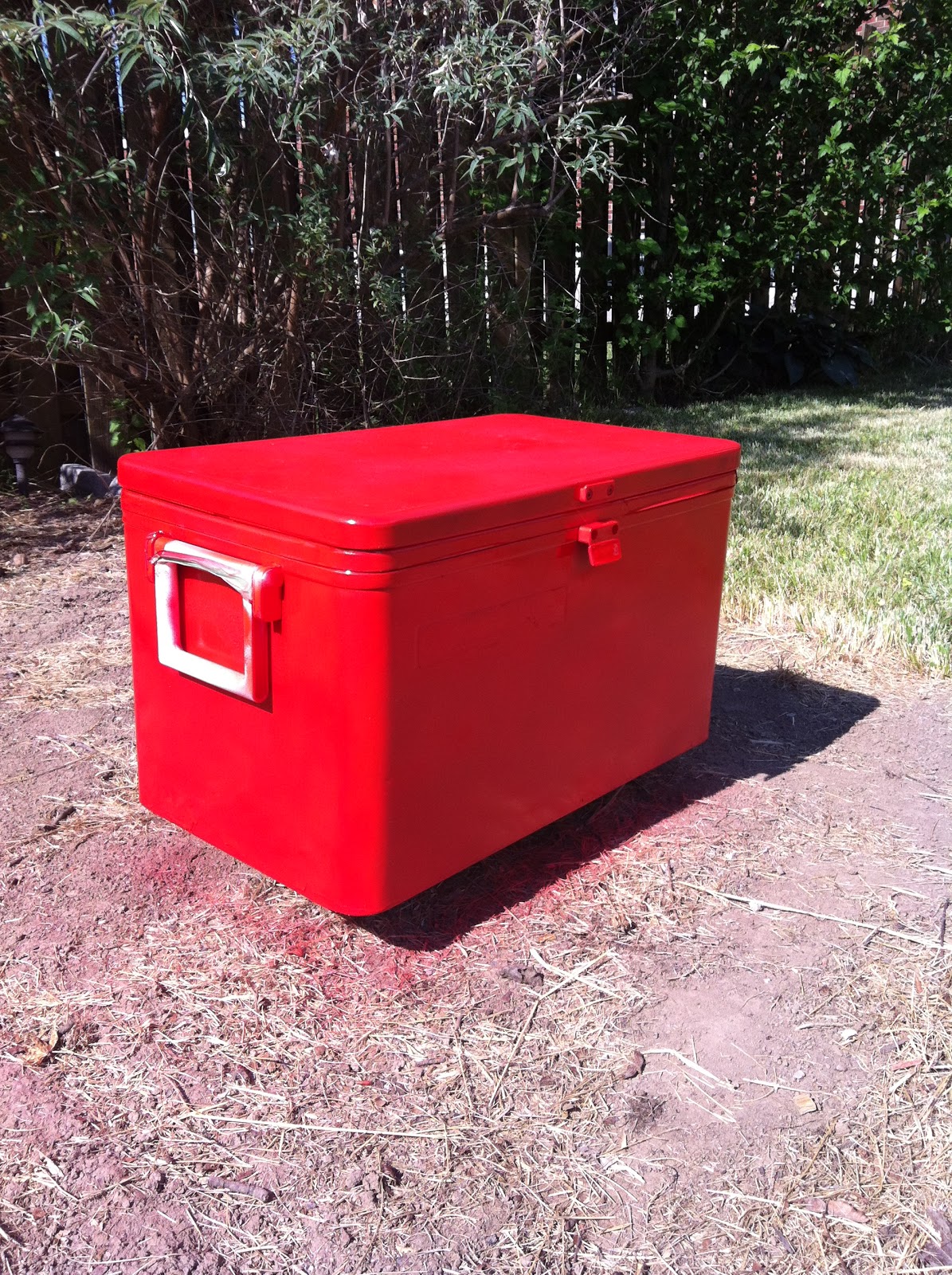 Brilliant Like Fireflies DualPurpose Cooler