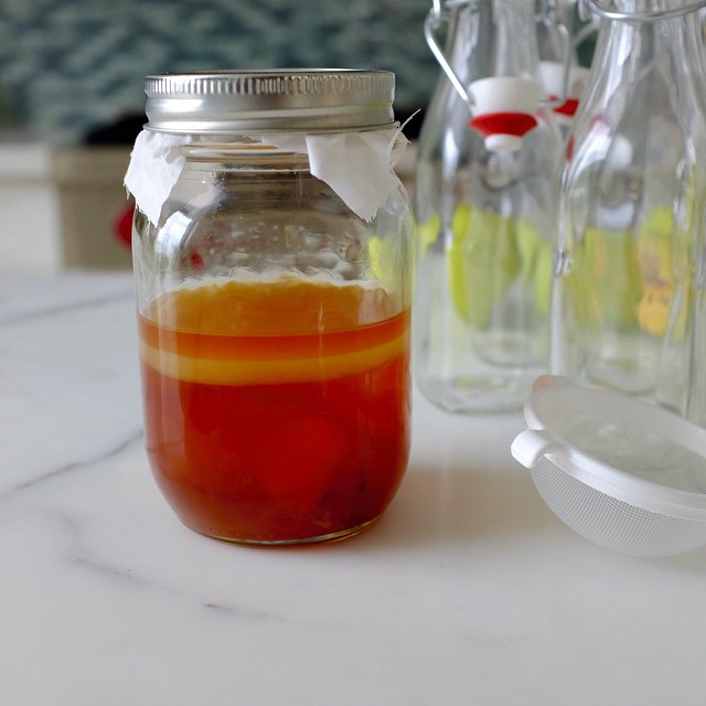 CAKE ON THE BRAIN Homemade Fizzy Grape Kombucha