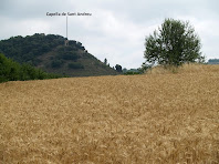 La capella de Sant Andreu des dels camps del Serrat de Bussanya La capella de Sant Andreu des dels camps del Serrat de Bussanya