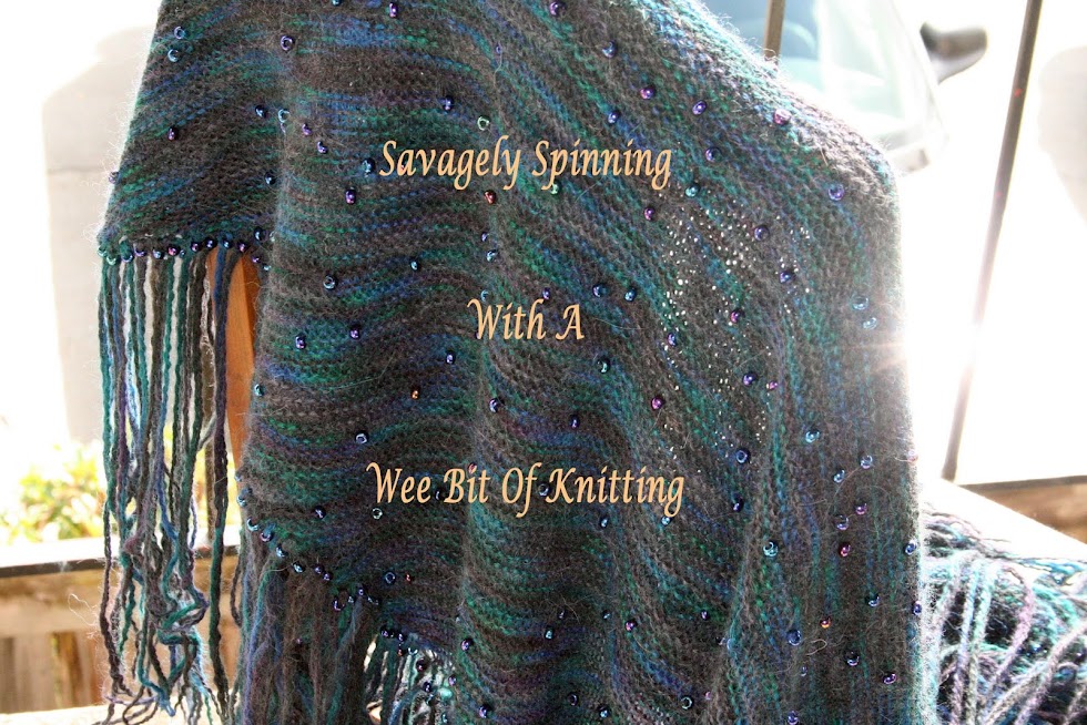 Savagely Spinning With A Bit Of Knitting