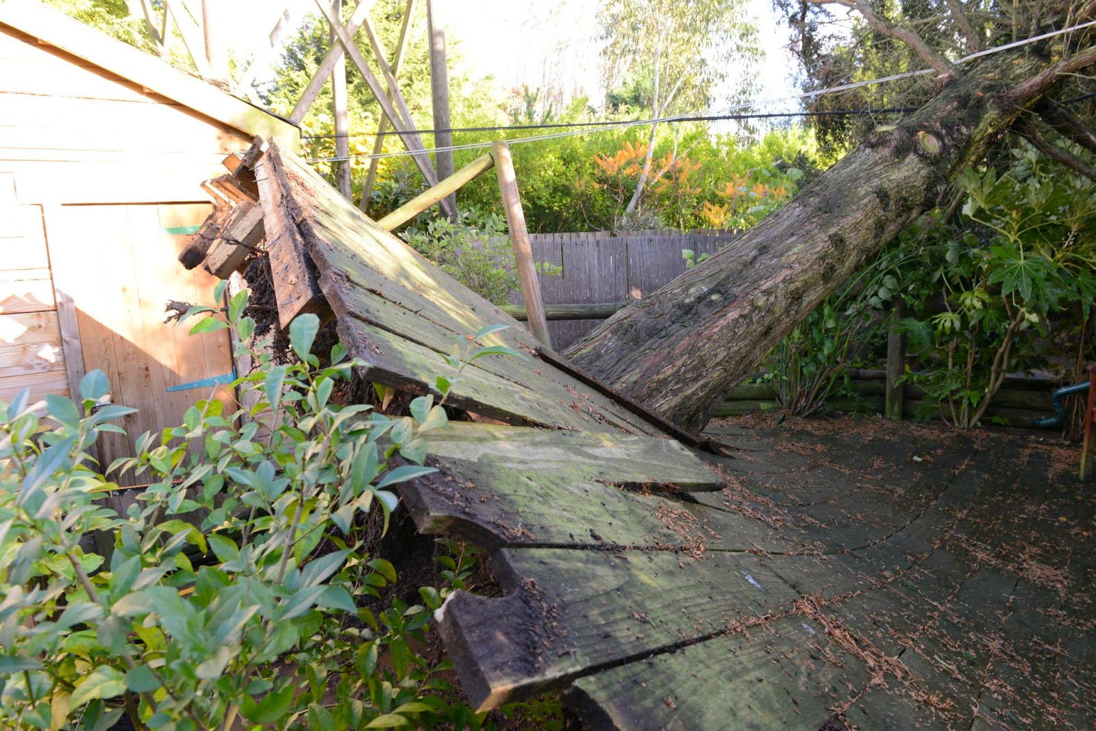 Paradise Zoo News How much does it cost to run a zoo?