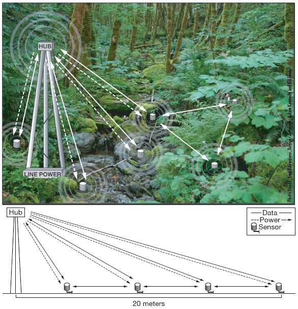 WIRELESS SENSOR NETWORKS SENSOR NETWORKS ENVIRONMENT MONITORING