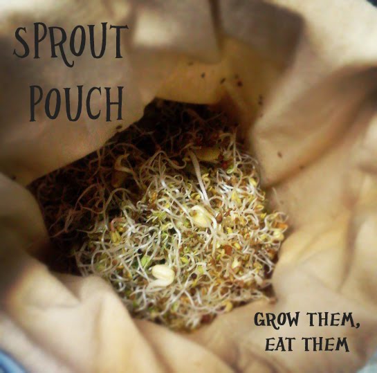 Sprout Pouch by Breeda